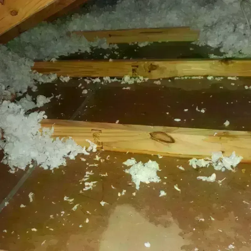 Attic Water Damage in Elk Plain, WA